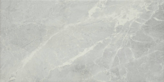 10X20 Mica | Glens Falls Tile & Supplies