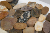 12X12 Flat Bora Wilderness | Glens Falls Tile & Supplies