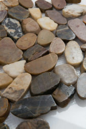 12X12 Flat Bora Wilderness | Glens Falls Tile & Supplies