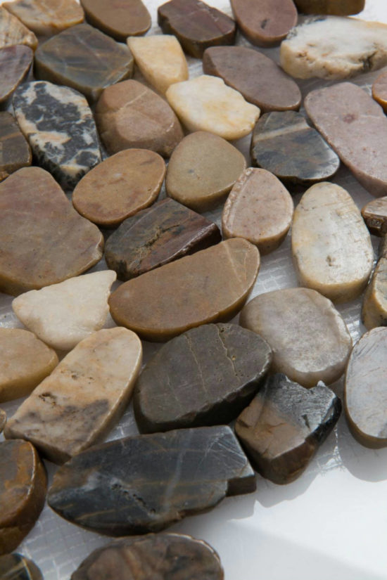 12X12 Flat Bora Wilderness | Glens Falls Tile & Supplies