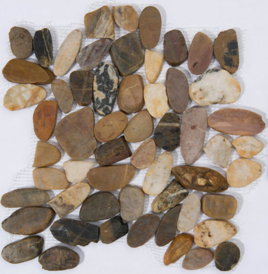 12X12 Flat Bora Wilderness | Glens Falls Tile & Supplies