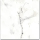 12X12F Calacatta | Glens Falls Tile & Supplies
