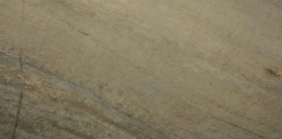 12X24 Earth | Glens Falls Tile & Supplies