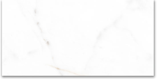 12X24 Matte Amore Grey | Glens Falls Tile & Supplies