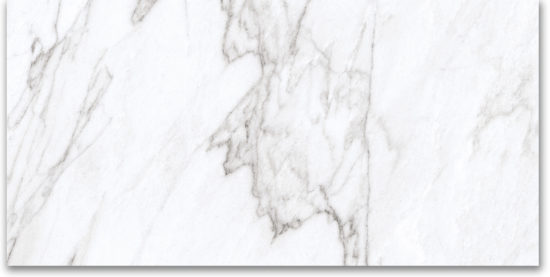 12X24 Polished Glamour White | Glens Falls Tile & Supplies