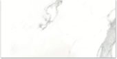 12X24F Calacatta | Glens Falls Tile & Supplies