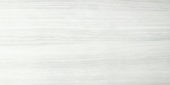 12X24F Ice Polished | Glens Falls Tile & Supplies