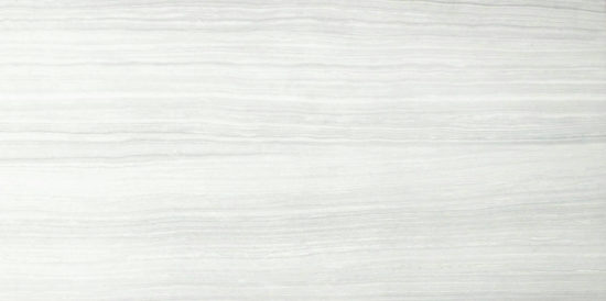 12X24F Ice Polished | Glens Falls Tile & Supplies