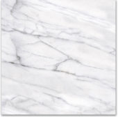 18X18F Carrara | Glens Falls Tile & Supplies