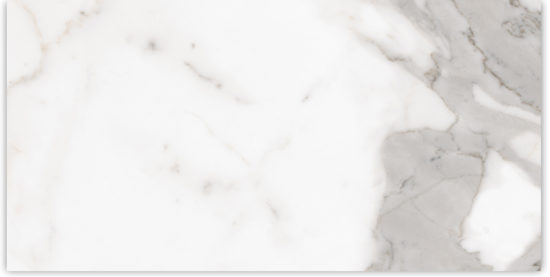 24X48 Matte Amore Grey | Glens Falls Tile & Supplies