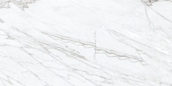 24X48 Matte Glamour White | Glens Falls Tile & Supplies