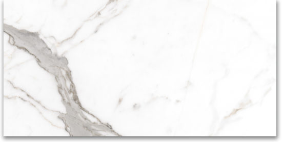 24X48 Polished Amore Grey | Glens Falls Tile & Supplies