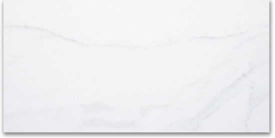 24X48F Calacatta | Glens Falls Tile & Supplies