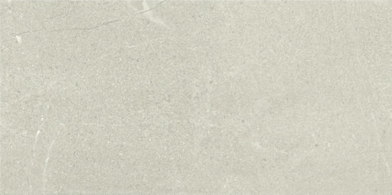 24x48 Country Taupe | Glens Falls Tile & Supplies