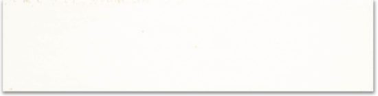 3X11 Lotus Bianco | Glens Falls Tile & Supplies