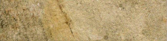 3X12 Beige Bullnose | Glens Falls Tile & Supplies