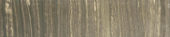3X12 Polished Natural Bullnose | Glens Falls Tile & Supplies