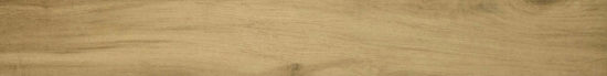 3X24 Acadia Natural Bullnose | Glens Falls Tile & Supplies
