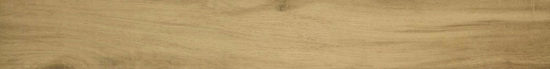 3X24 Acadia Natural Bullnose | Glens Falls Tile & Supplies
