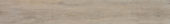 4408-Light Ash | Glens Falls Tile & Supplies