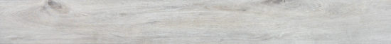 4562-Seashell | Glens Falls Tile & Supplies