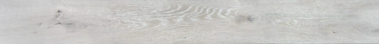 4562-Seashell | Glens Falls Tile & Supplies