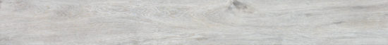 4562-Seashell | Glens Falls Tile & Supplies