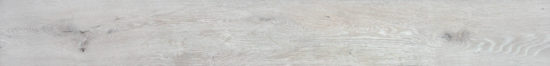 4562-Seashell | Glens Falls Tile & Supplies