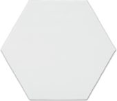 6" Bray Powder Glossy Hexagon | Glens Falls Tile & Supplies