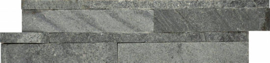 6X24F Astro Silver | Glens Falls Tile & Supplies
