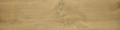 8X33 Acadia Natural | Glens Falls Tile & Supplies