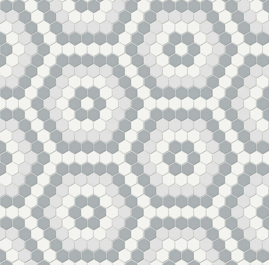 Afternoon Blend Matte Hexagon Pattern Mosaic | Glens Falls Tile & Supplies