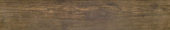 Alaskan Cedar 5.5X33F | Glens Falls Tile & Supplies