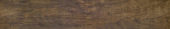 Alaskan Cedar 5.5X33F | Glens Falls Tile & Supplies