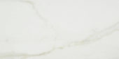 Amalfi Calacatta Honed 12X24 | Glens Falls Tile & Supplies