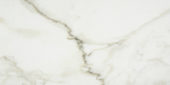 Amalfi Calacatta Honed 12X24 | Glens Falls Tile & Supplies