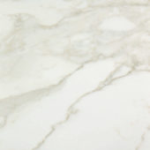 Amalfi Calacatta Honed 32X32 | Glens Falls Tile & Supplies