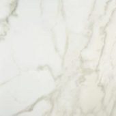 Amalfi Calacatta Honed 32X32 | Glens Falls Tile & Supplies