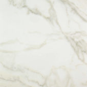 Amalfi Calacatta Honed 32X32 | Glens Falls Tile & Supplies