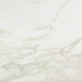 Amalfi Calacatta Polished 24X24 | Glens Falls Tile & Supplies
