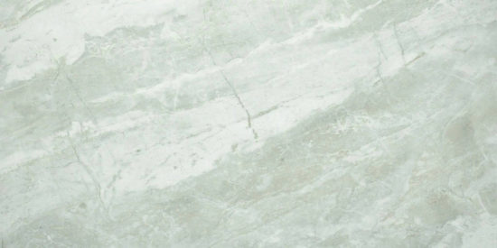 Amur 12X24 | Glens Falls Tile & Supplies
