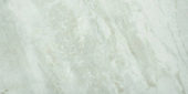 Amur 12X24 | Glens Falls Tile & Supplies