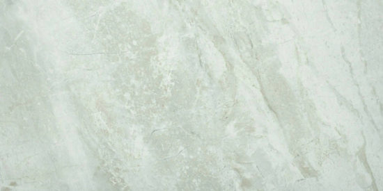 Amur 12X24 | Glens Falls Tile & Supplies