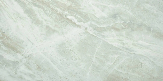 Amur 12X24 | Glens Falls Tile & Supplies