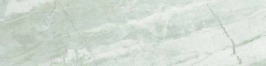 Amur 4X12 | Glens Falls Tile & Supplies