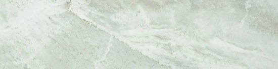 Amur 4X12 | Glens Falls Tile & Supplies