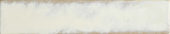 Antique 2X10 | Glens Falls Tile & Supplies