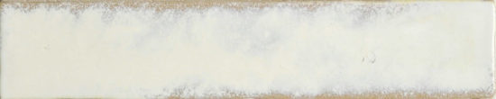 Antique 2X10 | Glens Falls Tile & Supplies