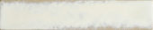 Antique 2X10 | Glens Falls Tile & Supplies
