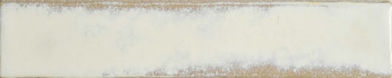 Antique 2X10 | Glens Falls Tile & Supplies